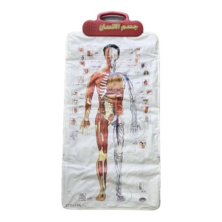 بساط إلكتروني- جسم الإنسان