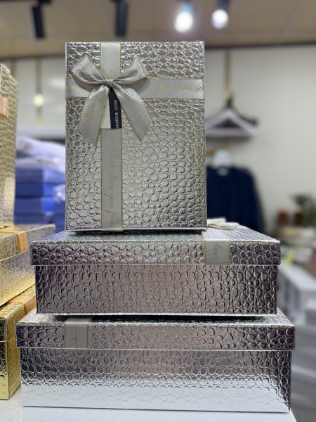 بوكس مع شبرة فضي 3 أحجام